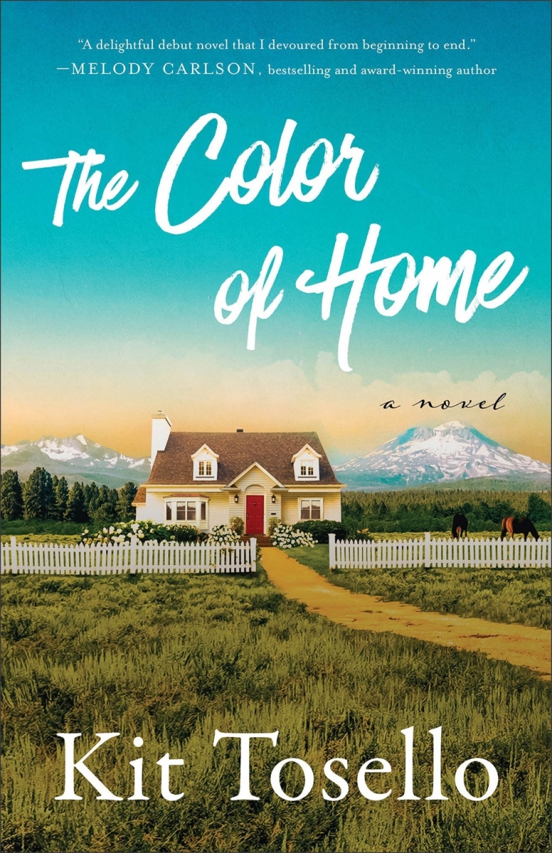 Baker Publishing Group 360065 The Color of Home Book