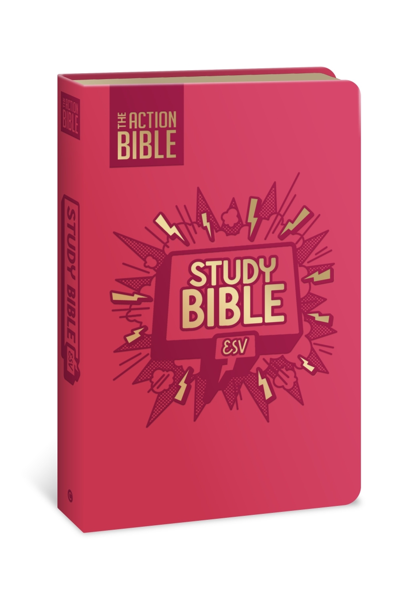 356387 ESV The Action Bible Study Bible - Full Color - Pink Leathersoft
