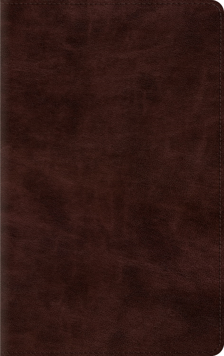 471166 ESV Thinline Bible - Espresso TruTone Indexed