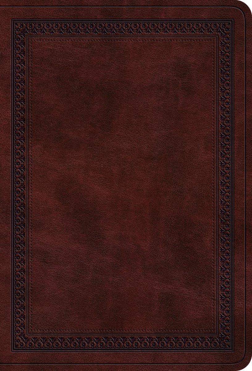 471194 ESV Value Large Print Compact Bible - Mahogany Border Design Trutone