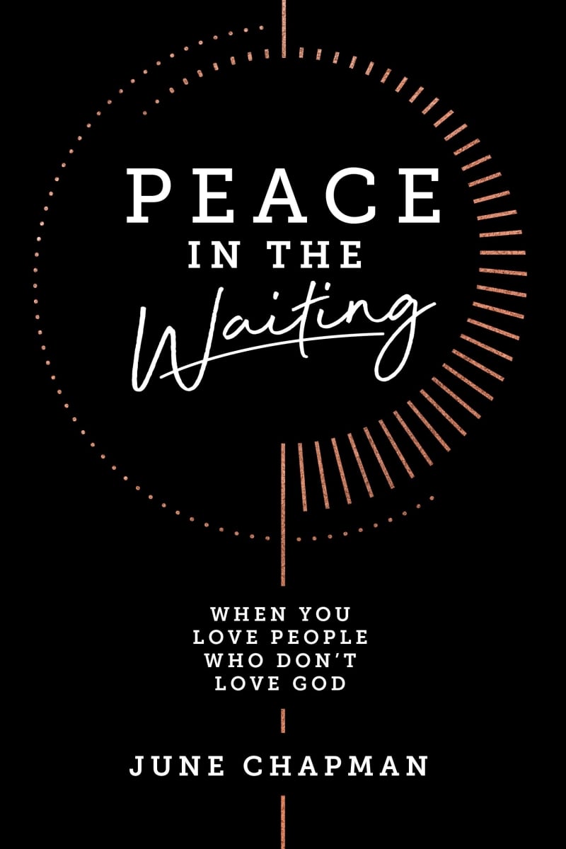 386432 Peace in The Waiting Book