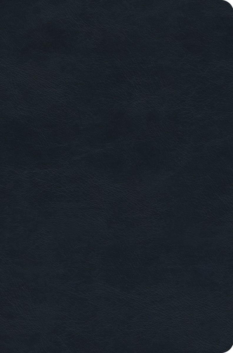 471184 ESV Value Compact Bible - Navy Trutone