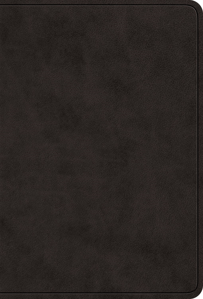 471198 ESV Value Large Print Compact Bible - RL - Black TruTone
