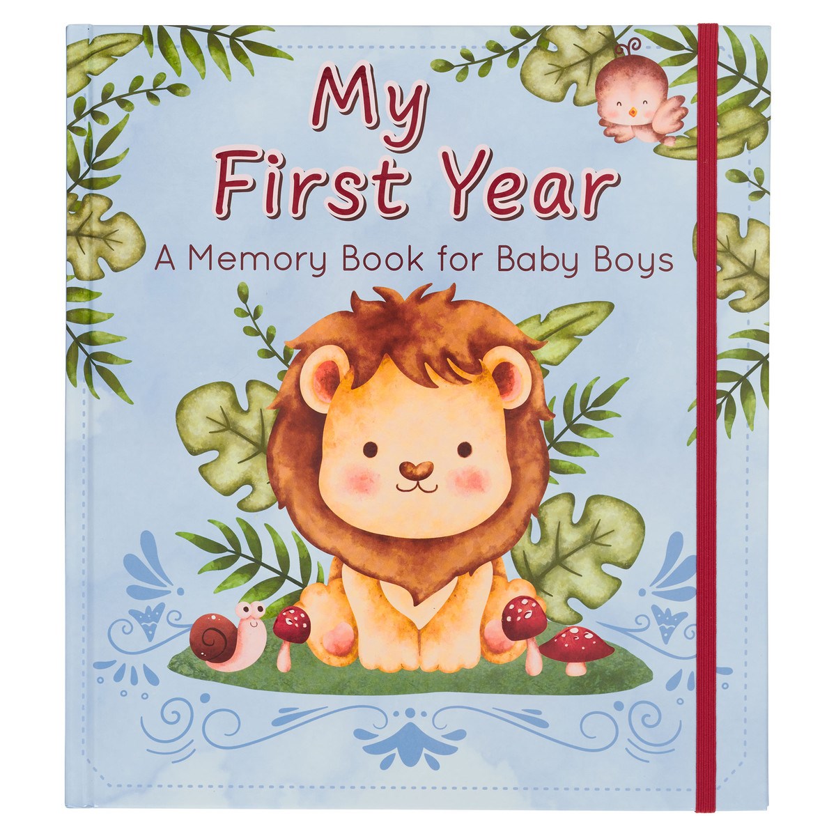 381068 My First Year - A Memory Book for Baby Boys
