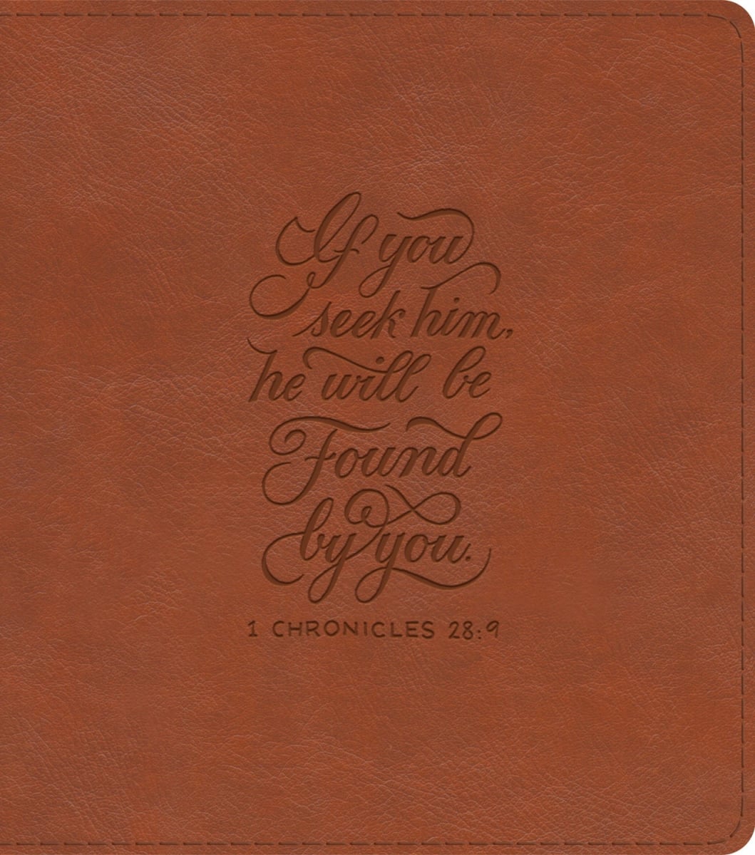 471116 ESV Journaling Study Bible - English Saddle 1 Chronicles 28-9 Design TruTone