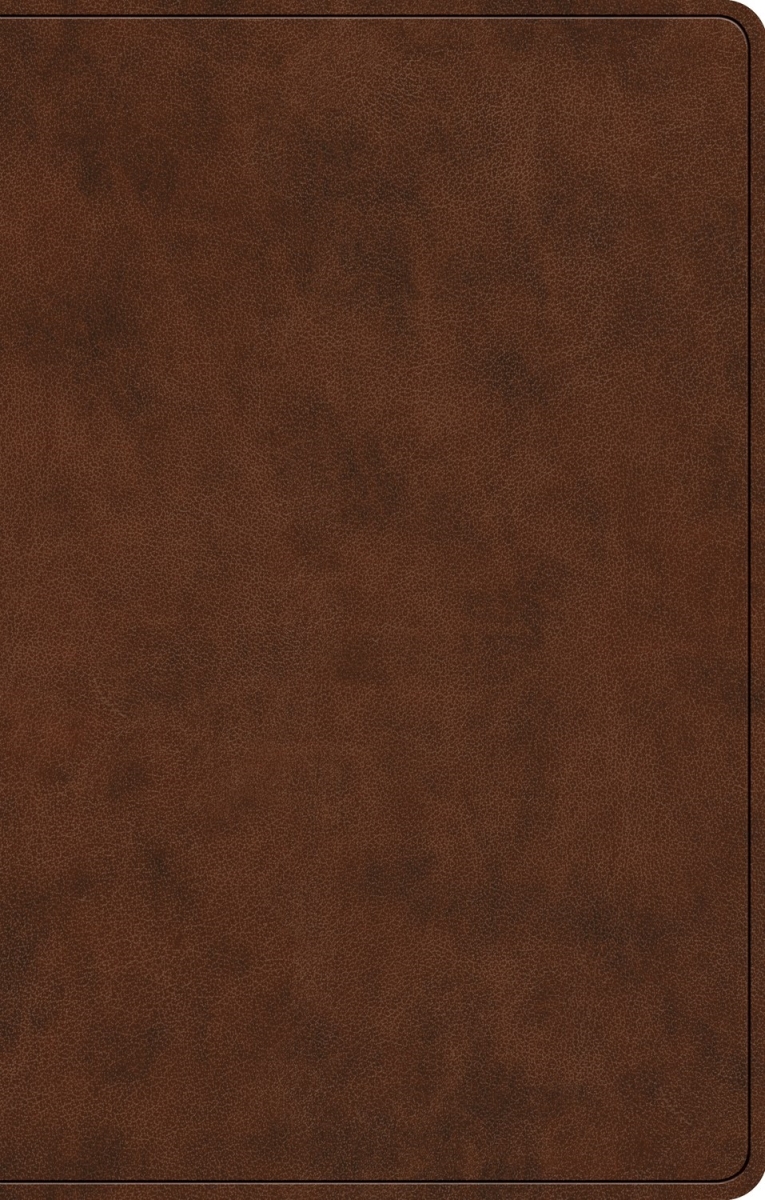 471149 ESV Premium Gift Bible - RL - Brown TruTone
