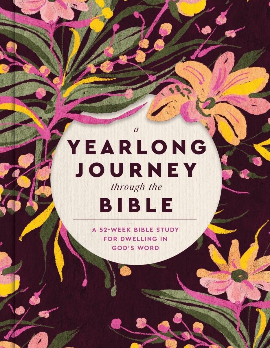 463485 A Yearlong Journey Through The Bible