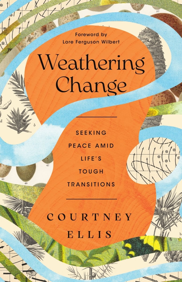41509X Weathering Change Book