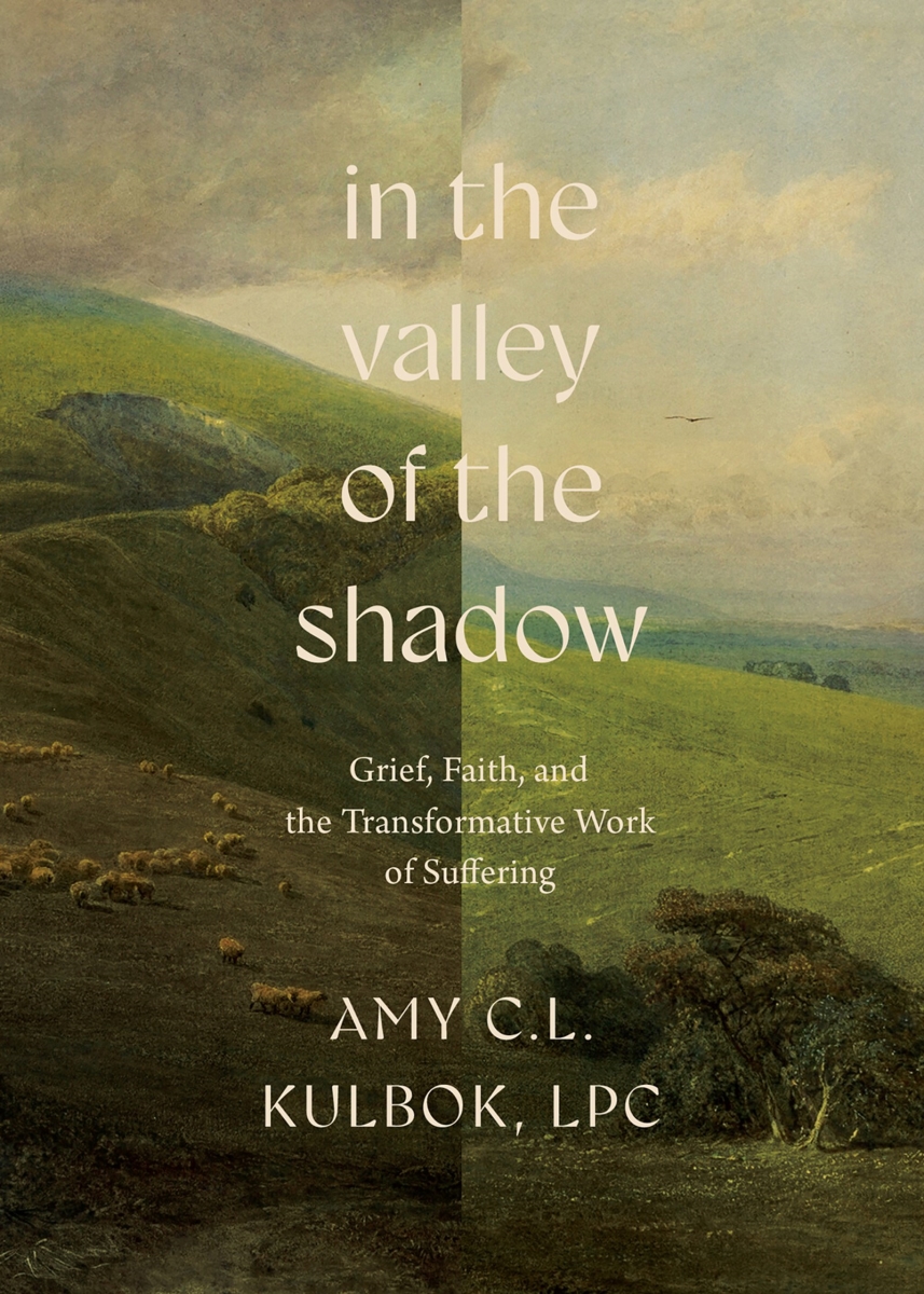 472018 in The Valley of The Shadow Hardcover Book