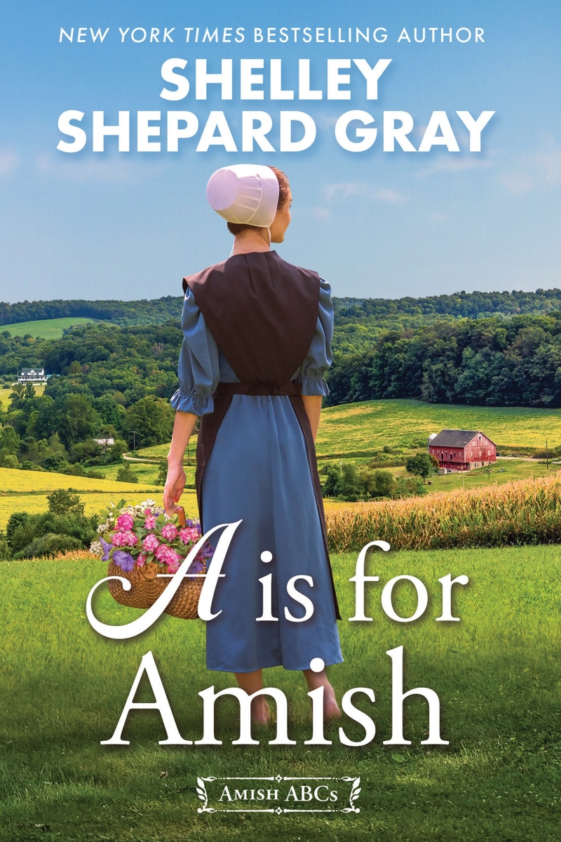 406619 A Is for Amish - Softcover Book