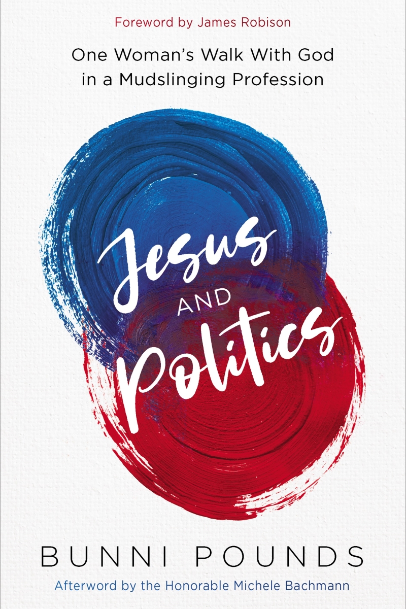 386502 Jesus & Politics Book