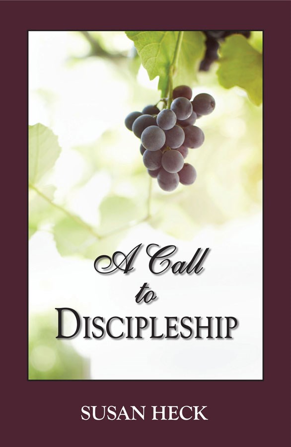 Three Sixteen Publishing 395510 A Call to Discipleship Book