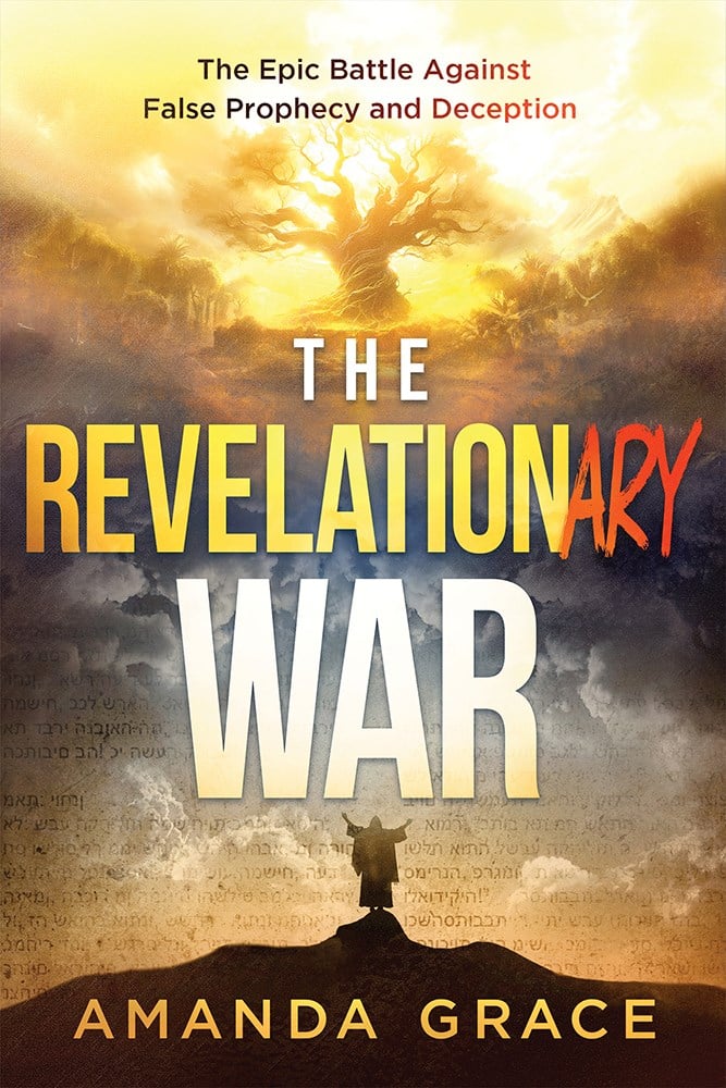 364293 The Revelationary War Book