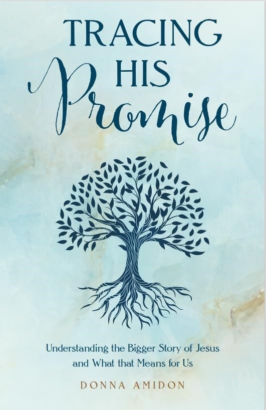 380663 Tracing His Promise Book