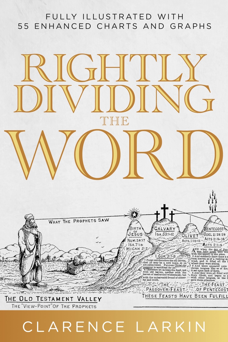 368017 Rightly Dividing The Word Book