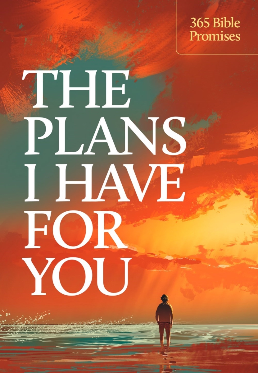 561788 The Plans I Have for You Book