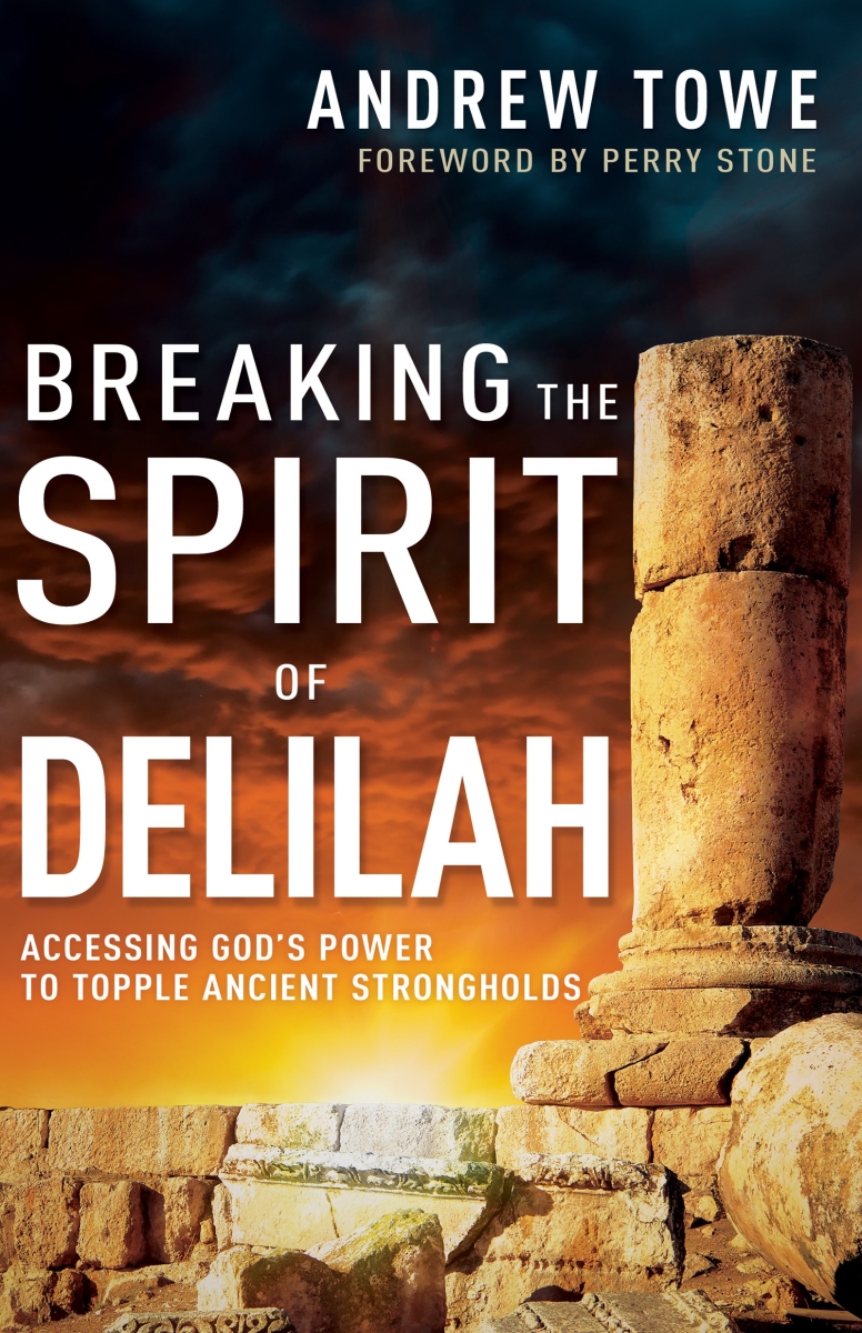 205793 Breaking The Spirit of Delilah Book