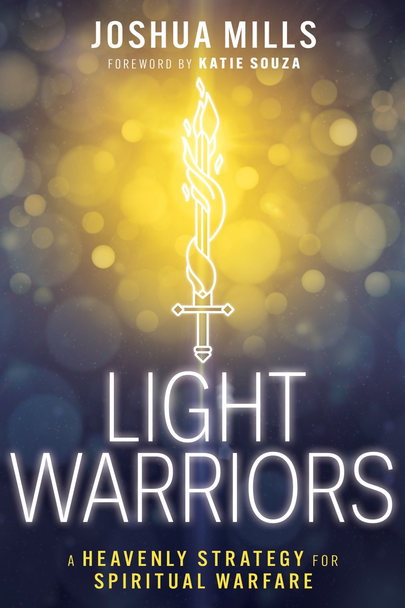 354250 Light Warriors Book