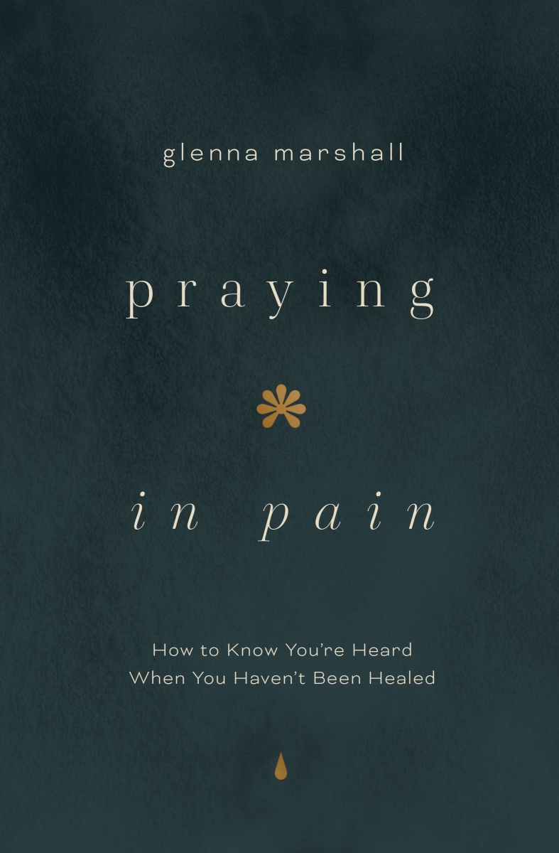 732624 Praying in Pain Christian Prayer Book