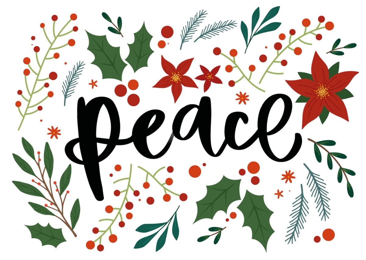 The Good Book 294506 Boxed Cards - Peace Book - Pack of 6