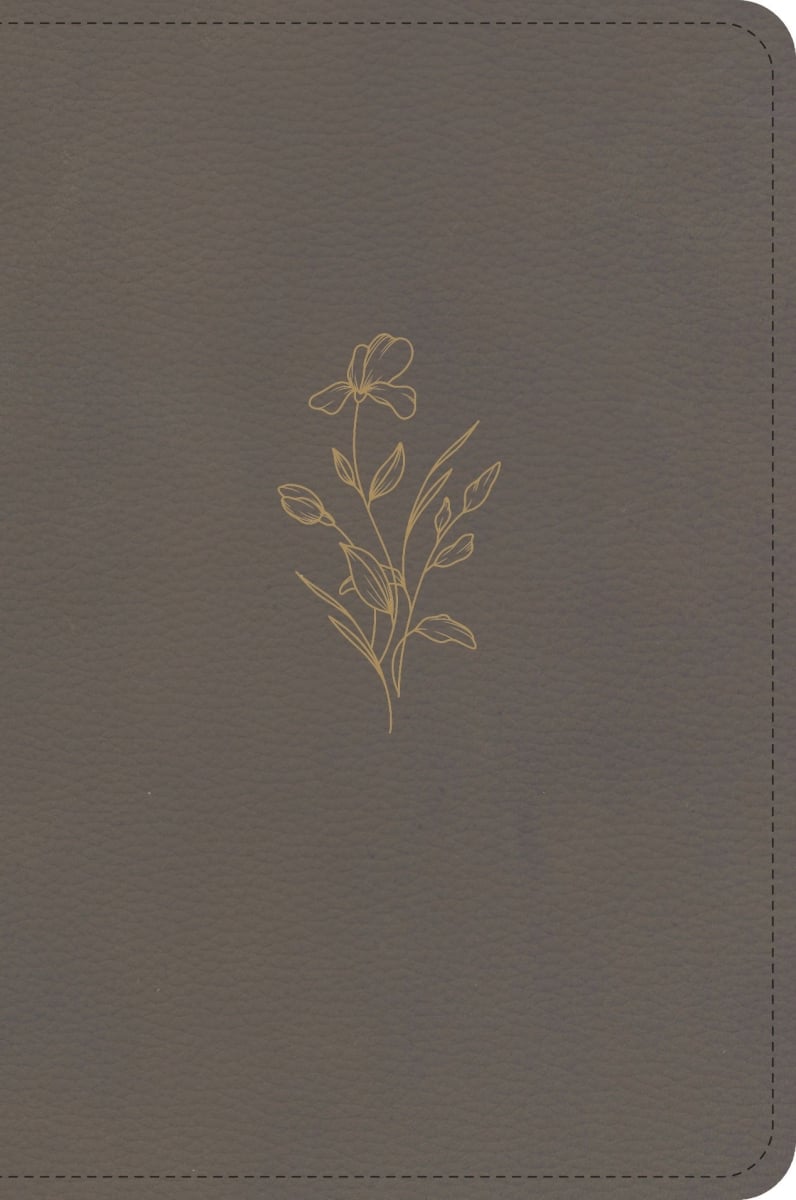 650644 KJV Large Print Compact & Clay Leather Touch Reference Bible