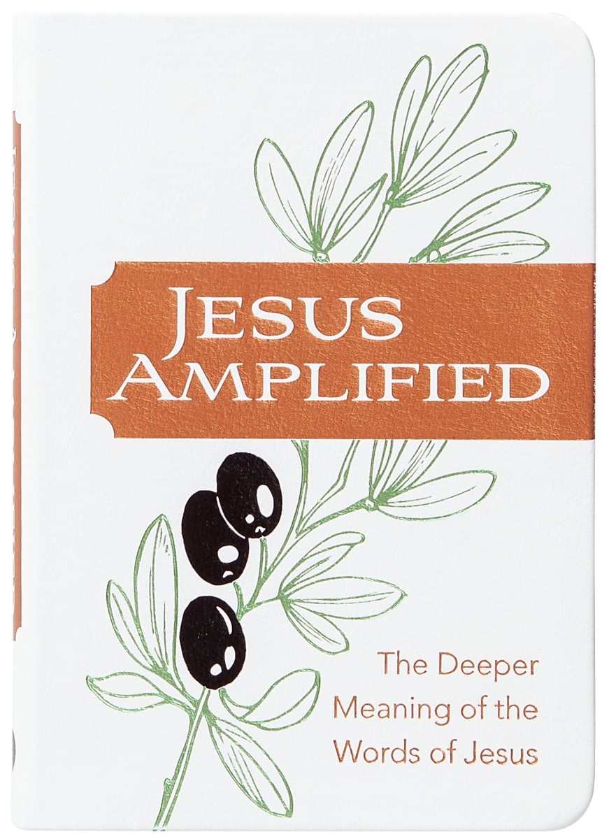 479584 Jesus Amplified Book