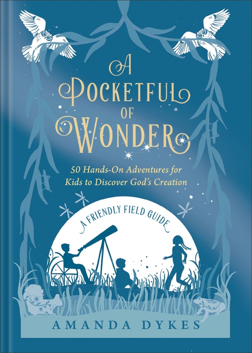 Baker Publishing Group 371697 A Pocketful of Wonder Book