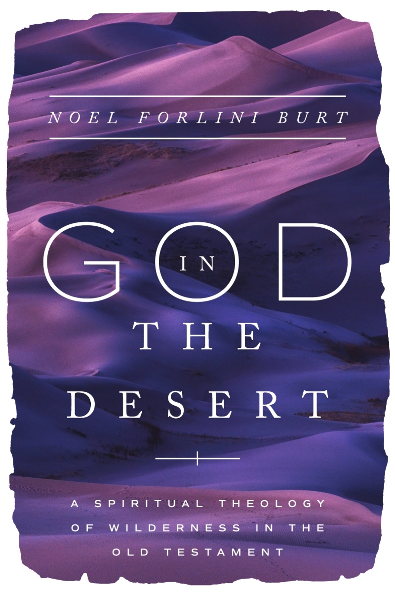 679506 God in the Desert Bible Study Book