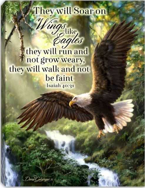 Glow Decor 299624 Mini Canvas - Eagles Flight with Scripture LED Tabletop with Timer - 6 x 8 in.
