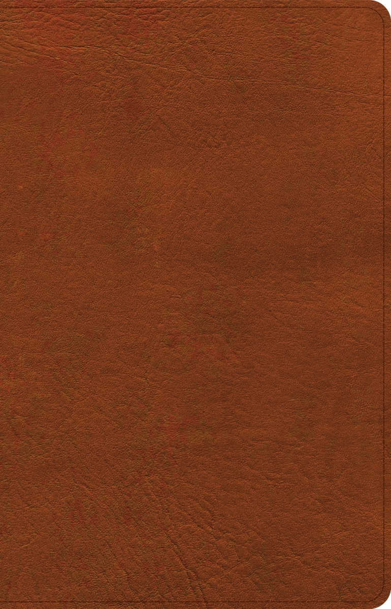 310995 NASB 2020 Large Print Thinline Bible - Burnt Sienna LeatherTouch