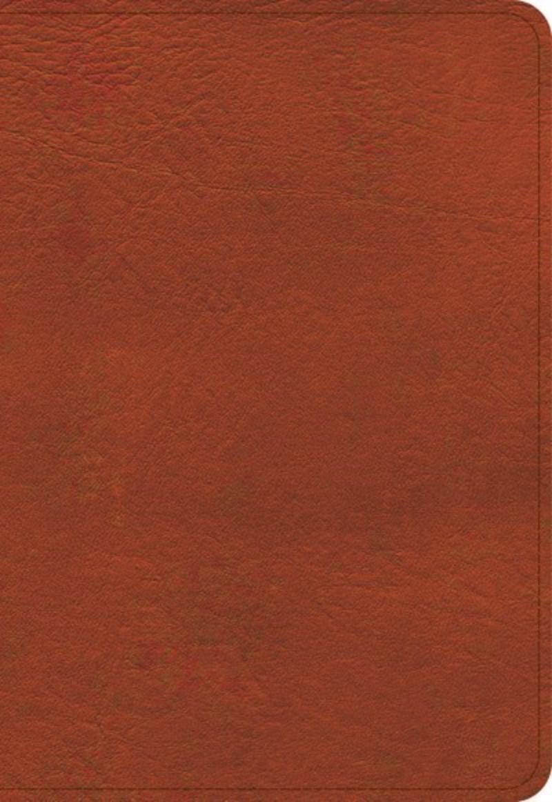 310984 KJV Large Print Compact Reference Bible - Burnt Sienna LeatherTouch