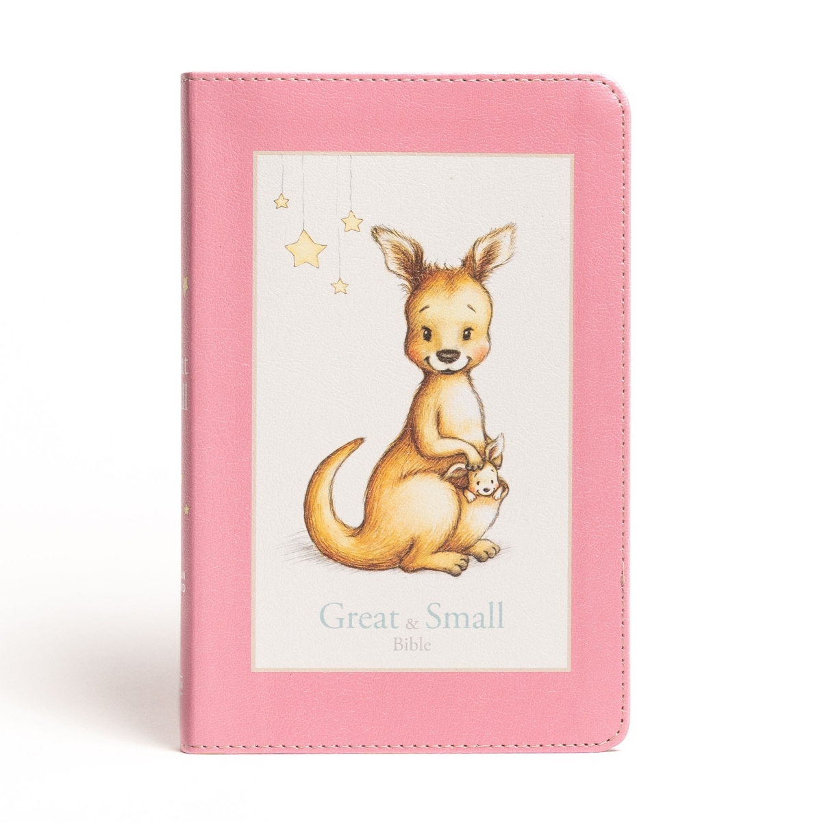 233521 CSB Great & Small Bible - Pink LeatherTouch