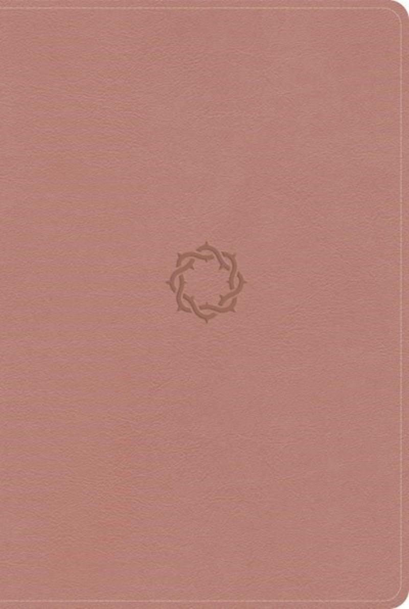 310978 KJV Essential Teen Study Bible - Rose Gold LeatherTouch