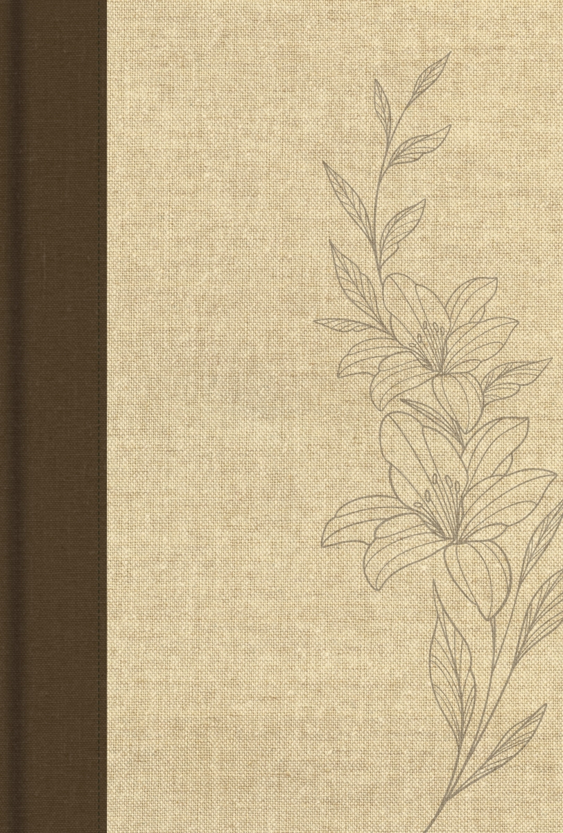 650611 CSB Single-Column Wide Margin Bible - Cream Cloth Over Board