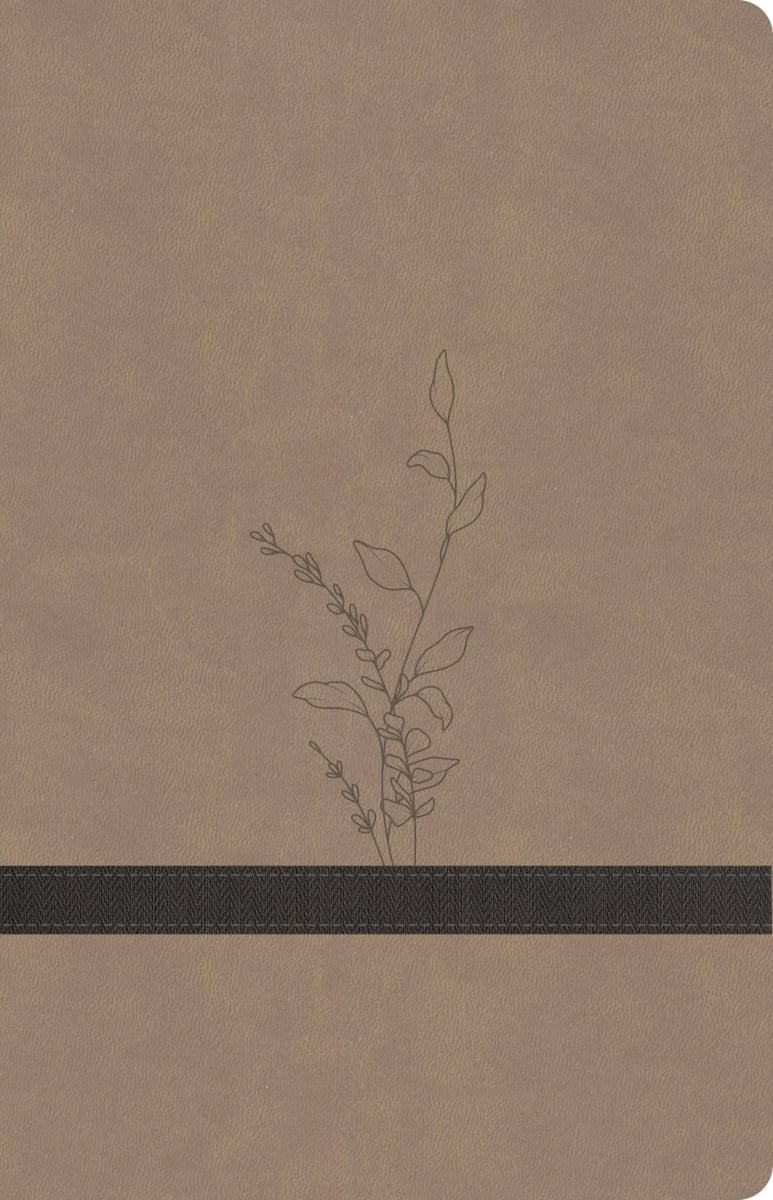 650646 KJV Large Print Personal Size & Earthen Suede Soft Leather Touch Reference Bible