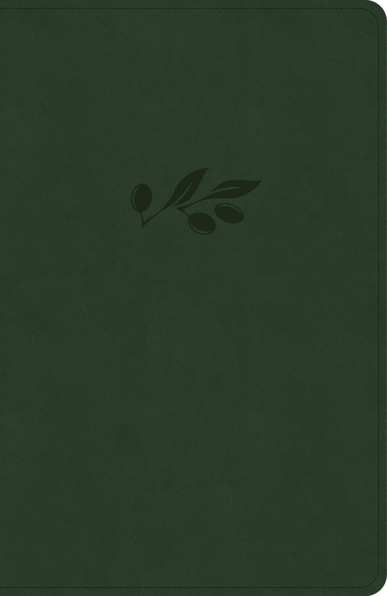 650657 NASB 2020 Verse-by-Verse Reference Bible with Olive Leather Touch