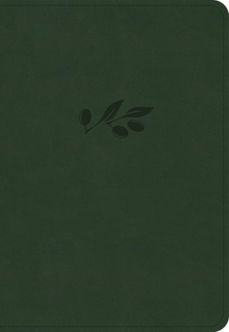 310985 KJV Large Print Compact Reference Bible - Olive LeatherTouch