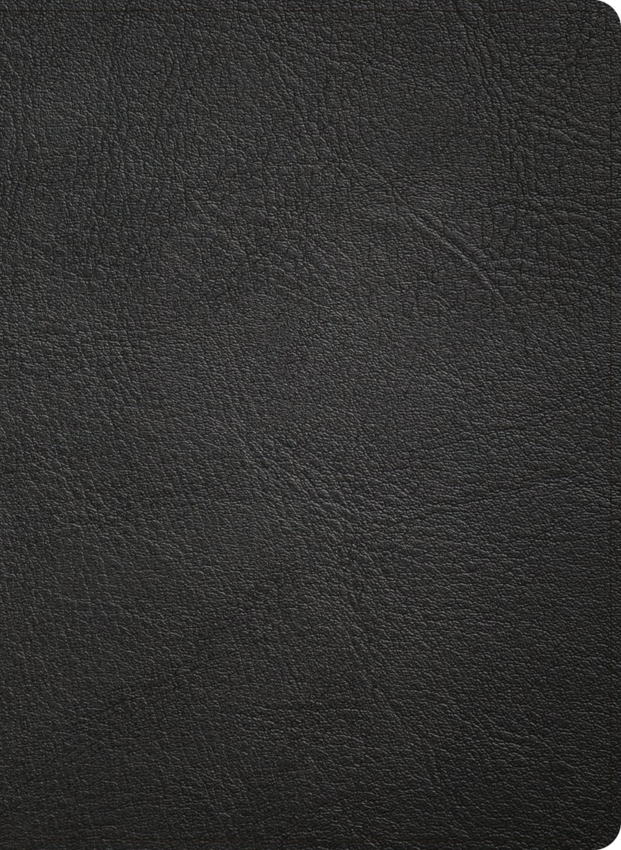 41273X NASB 2020 Study Bible - Black Genuine Leather