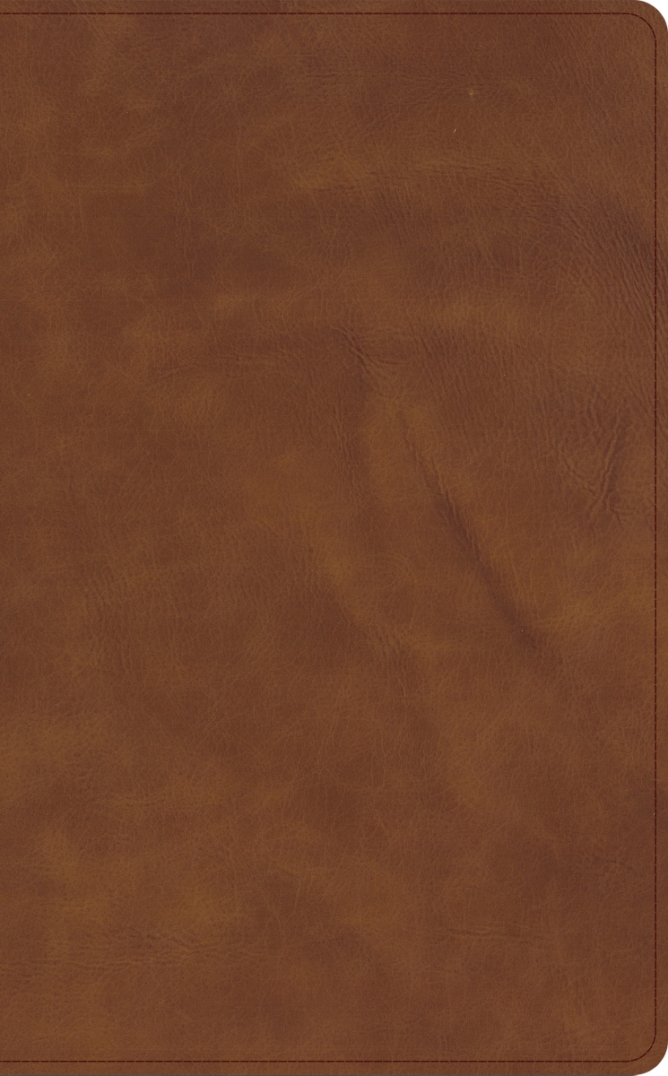 650613 Holman Handcrafted Collection CSB Single-Column Wide-Margin Bible - Marbled Tan Premium Calfskin