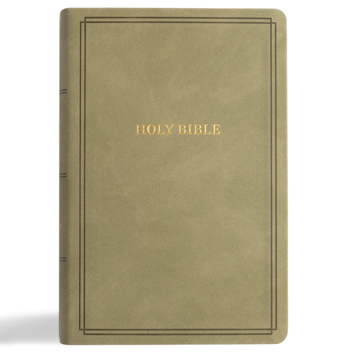 39958X KJV Large Print Personal Size Reference Bible - Sage Suedesoft Leathertouch Indexed
