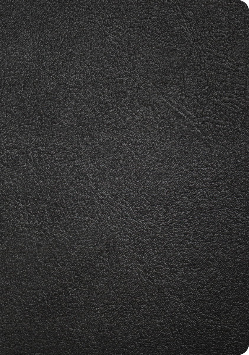 41220X CSB Baker & Black Genuine Leather Illustrated Study Bible