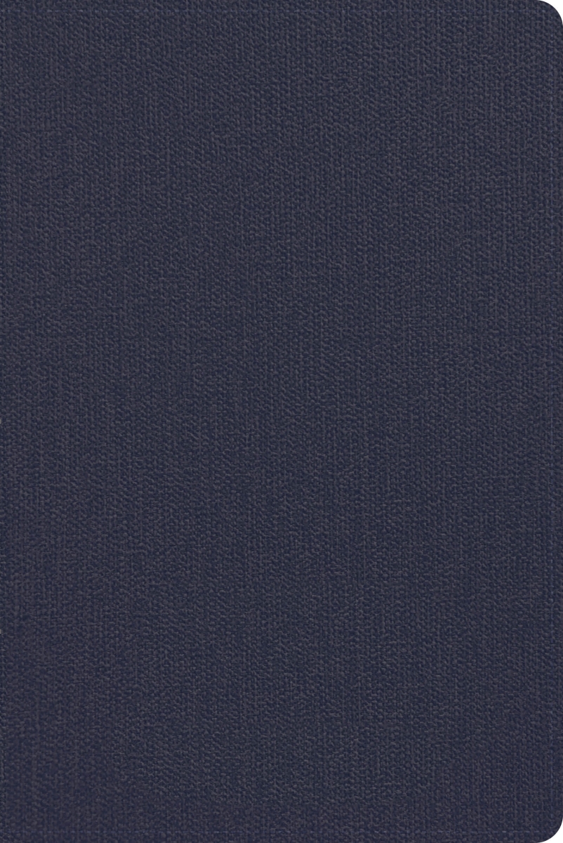 650602 CSB Mens Daily Bible - Blue LeatherTouch