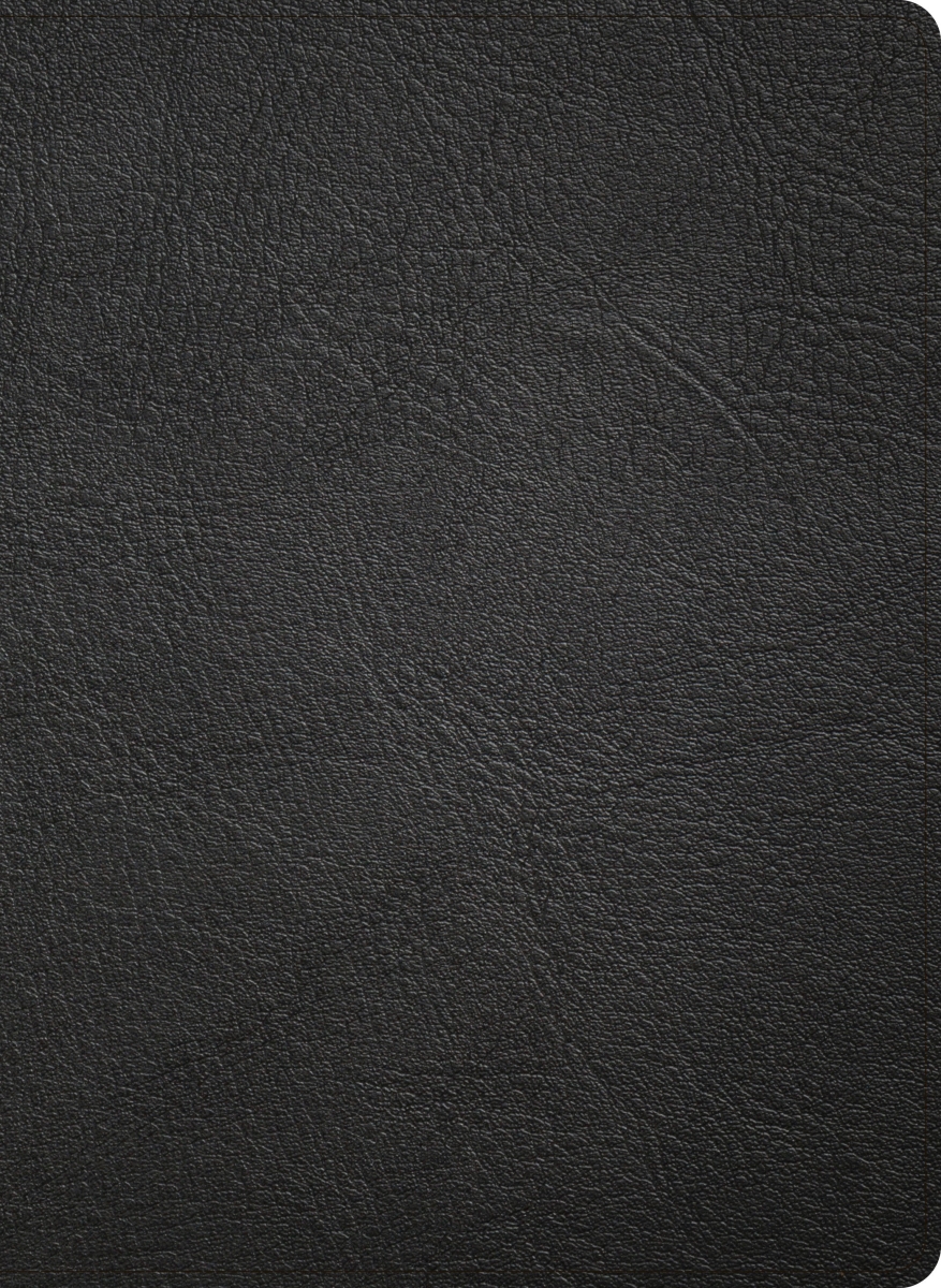 41274X NASB 2020 Study Bible - Black Genuine Leather Indexed