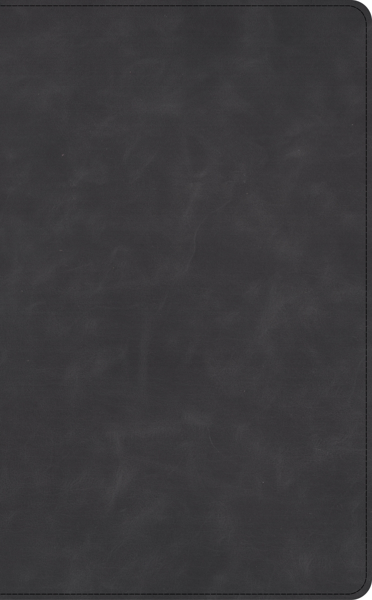 650656 NASB 2020 Verse-By-Verse Reference Bible - Holman Handcrafted Collection - Marbled Slate Premium Calfskin