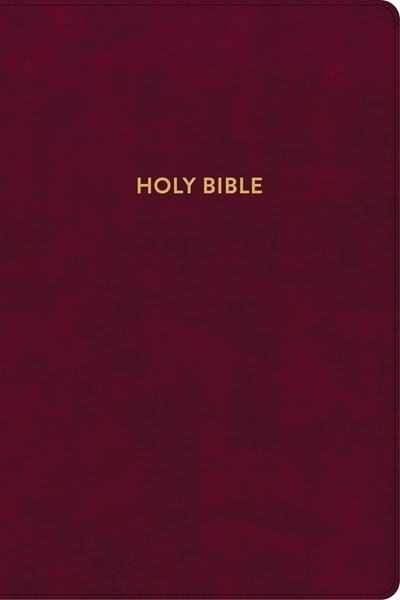 233542 KJV Rainbow Study Bible - Burgundy LeatherTouch