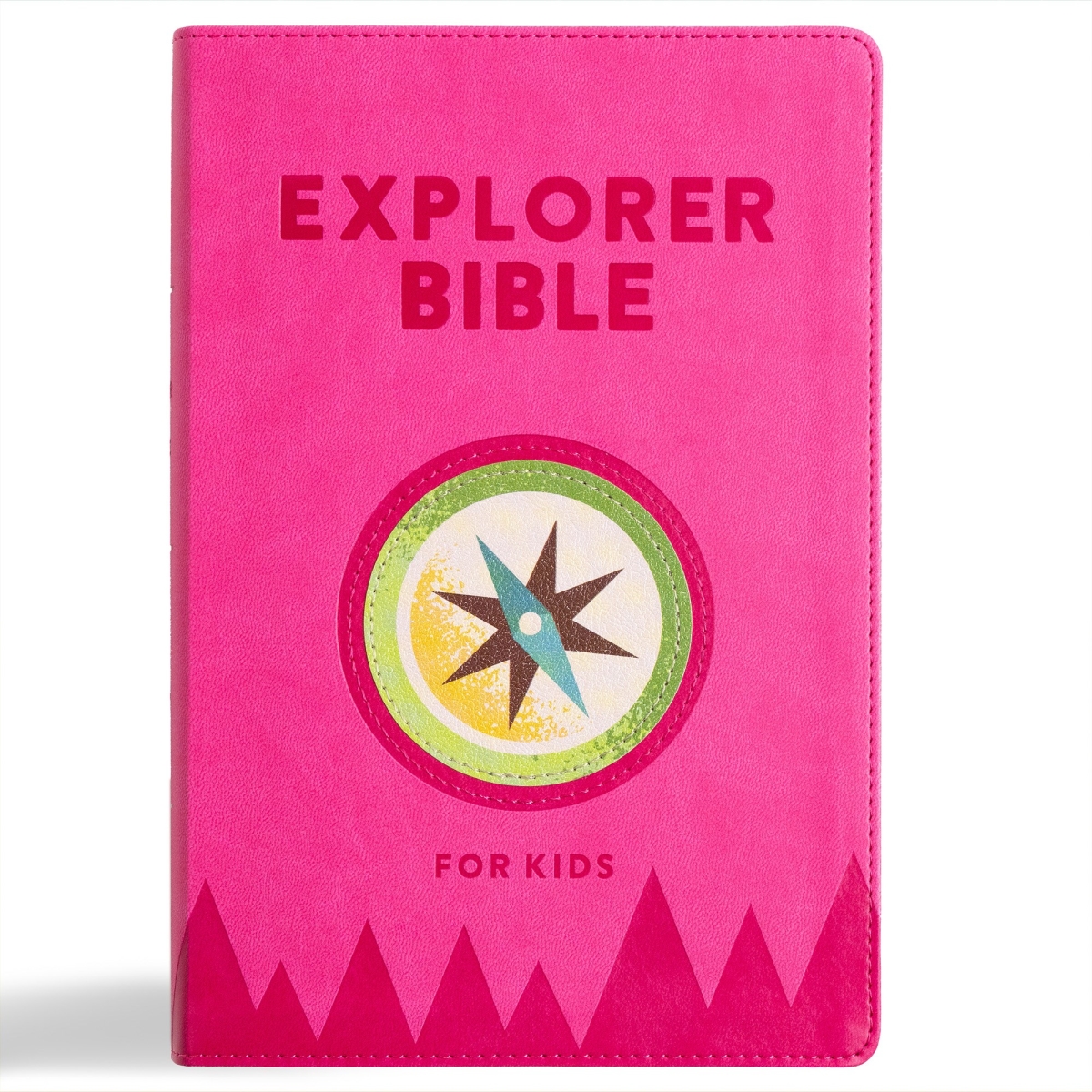 36552X KJV Explorer Bible for Kids - Bubble Gum Leathertouch