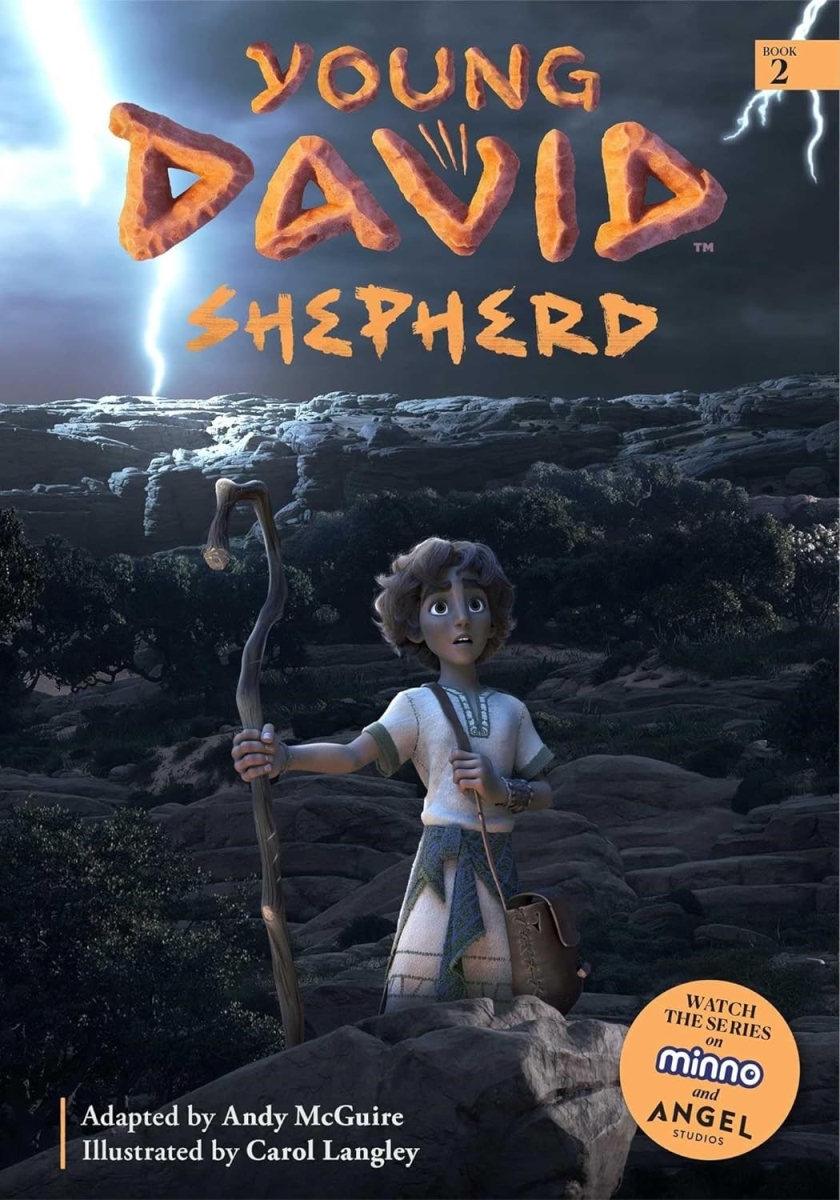 Baker Publishing Group 379045 Young David - Shepherd - Book No.2