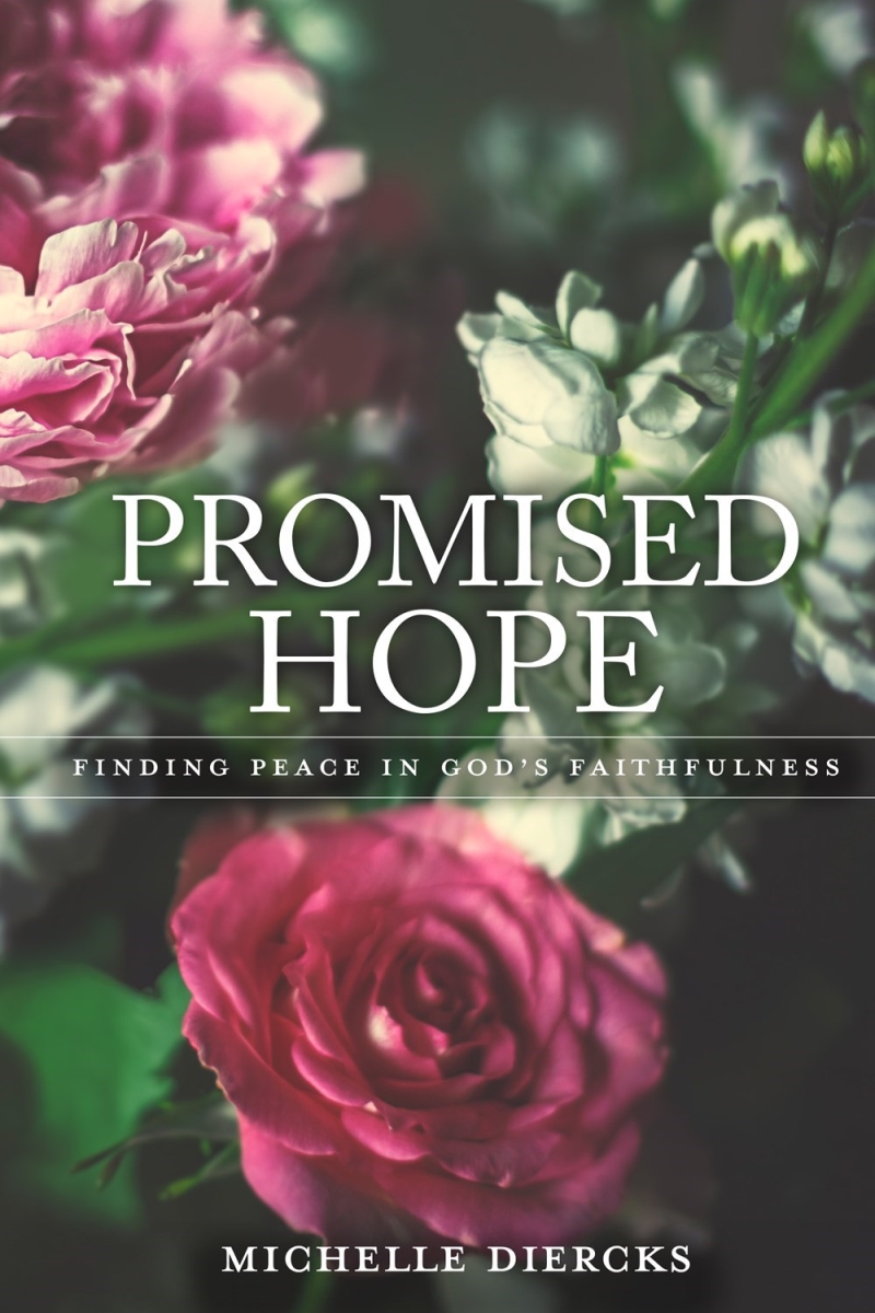 348301 Promised Hope Book