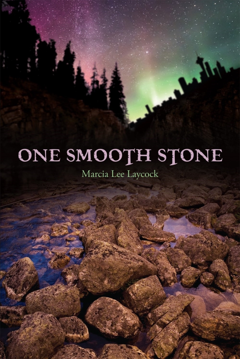 382856 One Smooth Stone Book