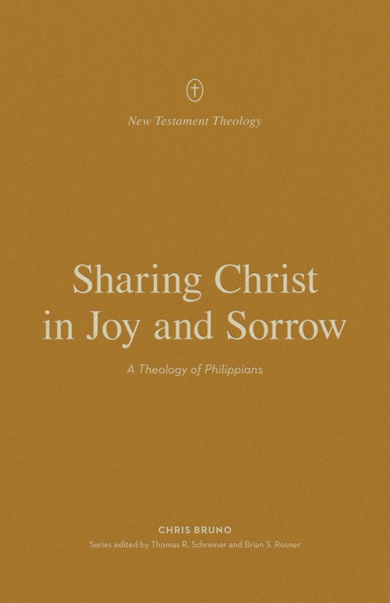 348428 Sharing Christ in Joy & Sorrow - Testament Theology Book